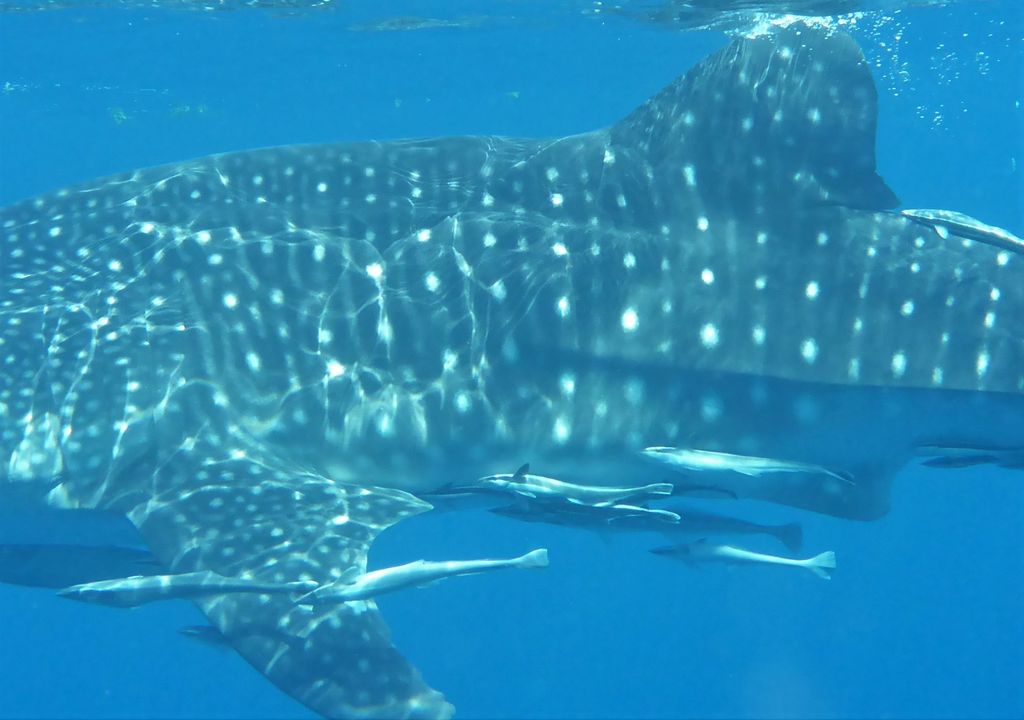 c42ff0e1-ed8e-4454-92a9-56ac0a4055e0