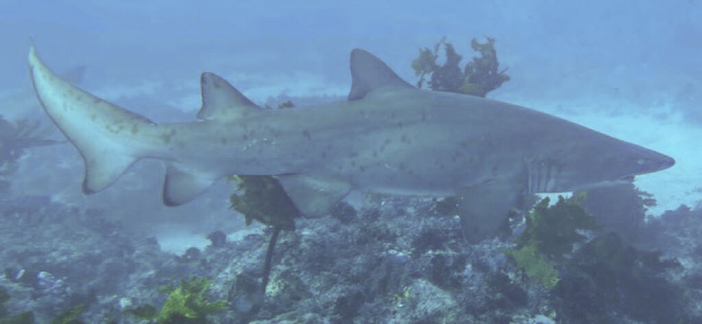 c7db21a1-9038-429c-9bd2-ee39ea572c4a