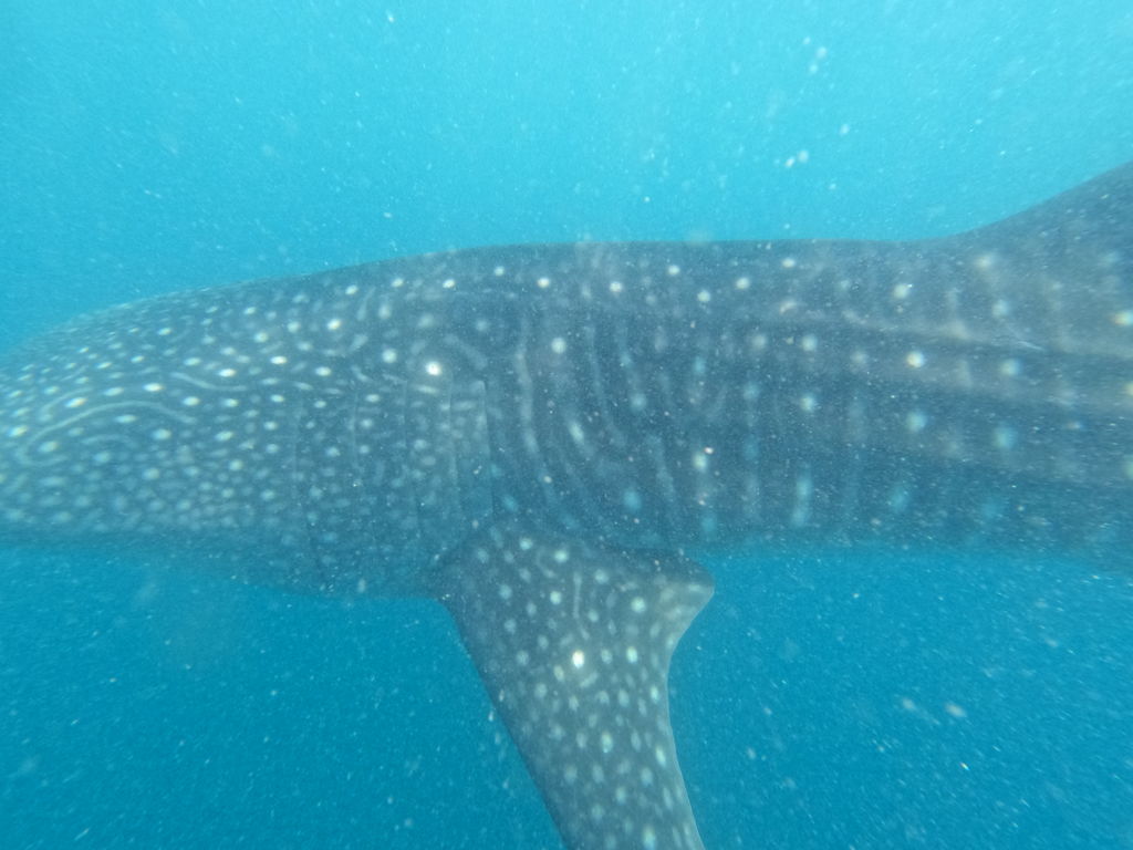 d744f4a8-abad-4ee2-ae54-09259cb11388