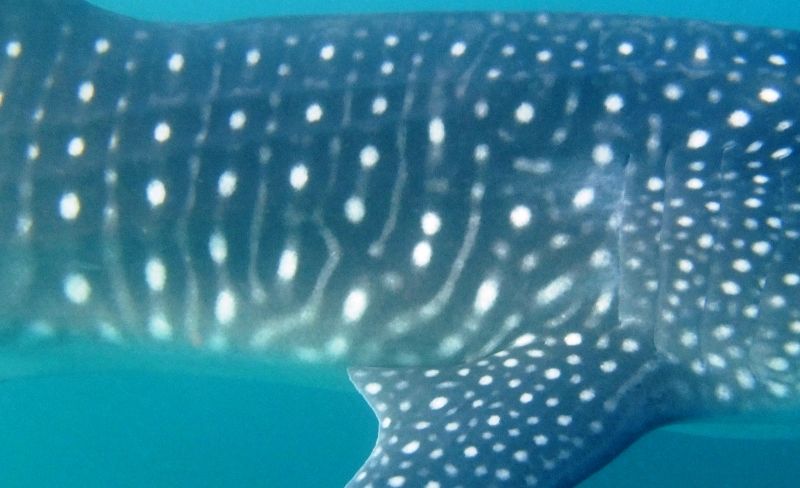 5283a79e-e404-4b7d-baa9-2a8e50bea2db