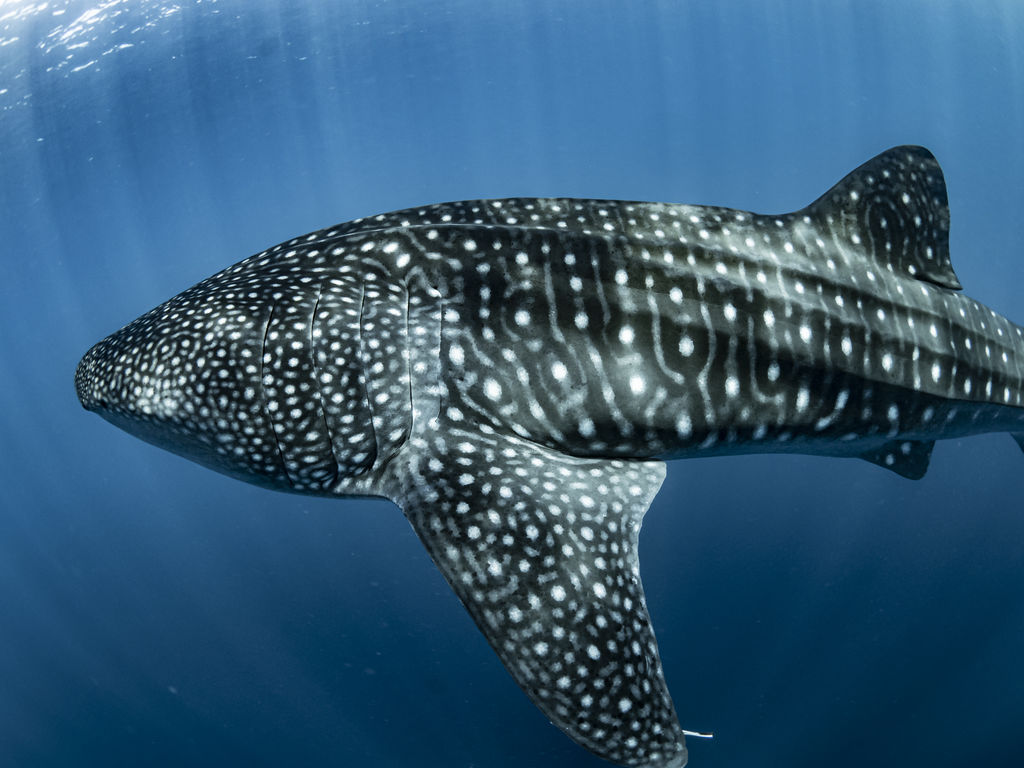 3cc71000-19bb-4052-a182-f4465f87e05c