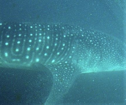 d49bfc4e-37ca-47f7-951a-42db46873431