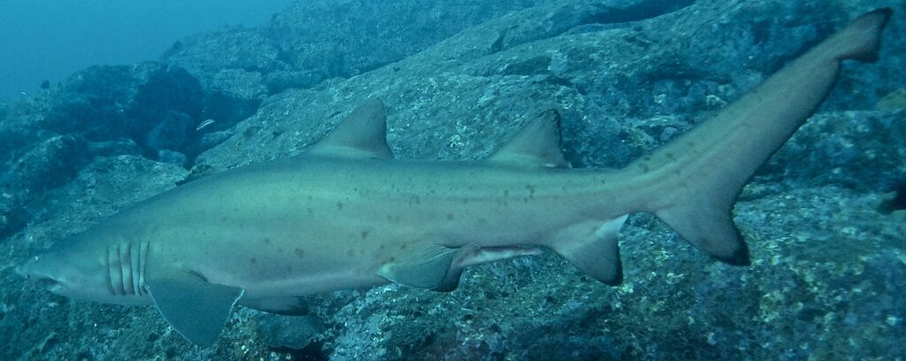 7ecc17cb-1e84-4f56-a871-23bf9b466afa