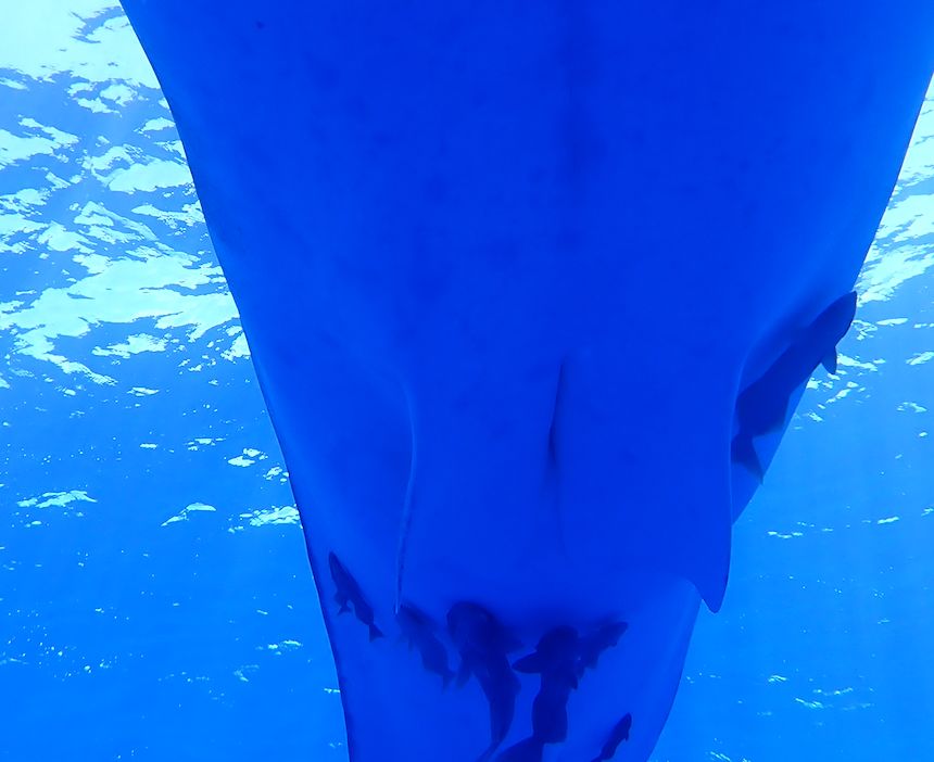 ace766fe-f2de-4679-8e91-76b748958a9f