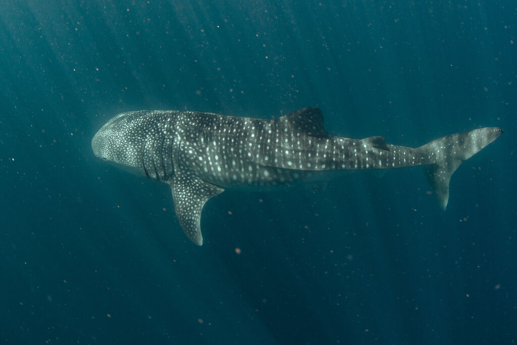 7eca56fe-bb60-410d-9cda-2433b4040cc6