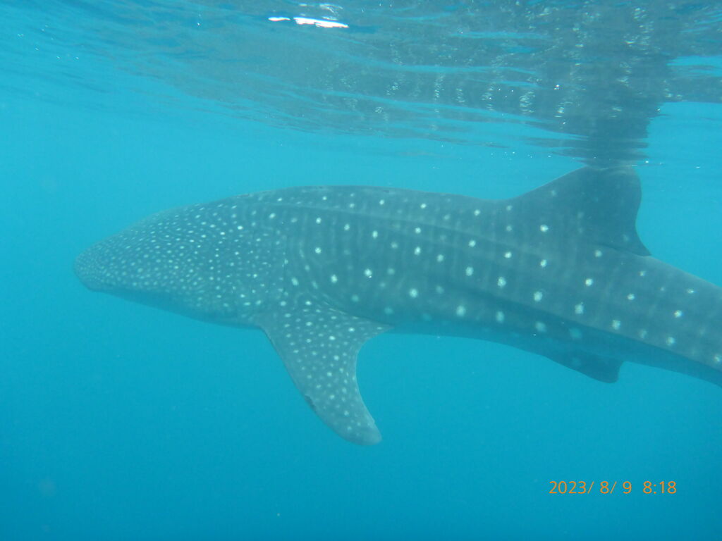 b7ccaab1-583d-4b32-96bf-df4091fff376