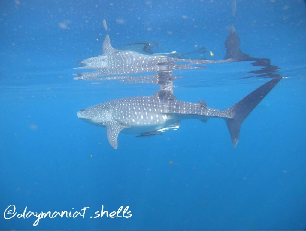 d790a6a0-3c3c-4412-a989-63e7b9747a05