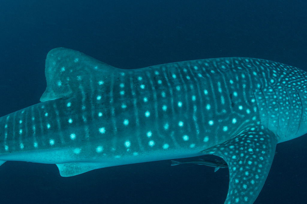 882ae398-6ea5-4705-b4f7-d7a0415df740