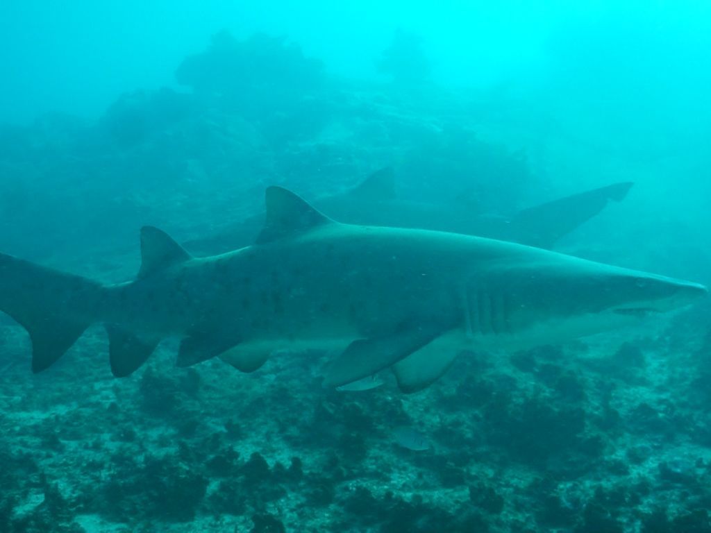 a3efde3d-11a0-492d-8d01-bb63aa93daee