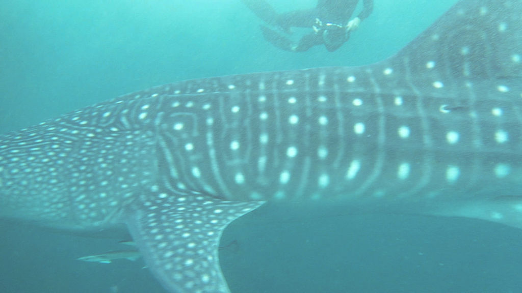 d12cf4f2-ff2d-4565-8fa3-254111b39a25