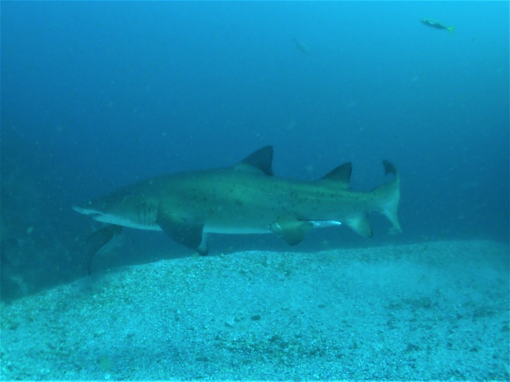 b3470b8e-3c8b-4e3f-99e7-dbc2b54b25d7