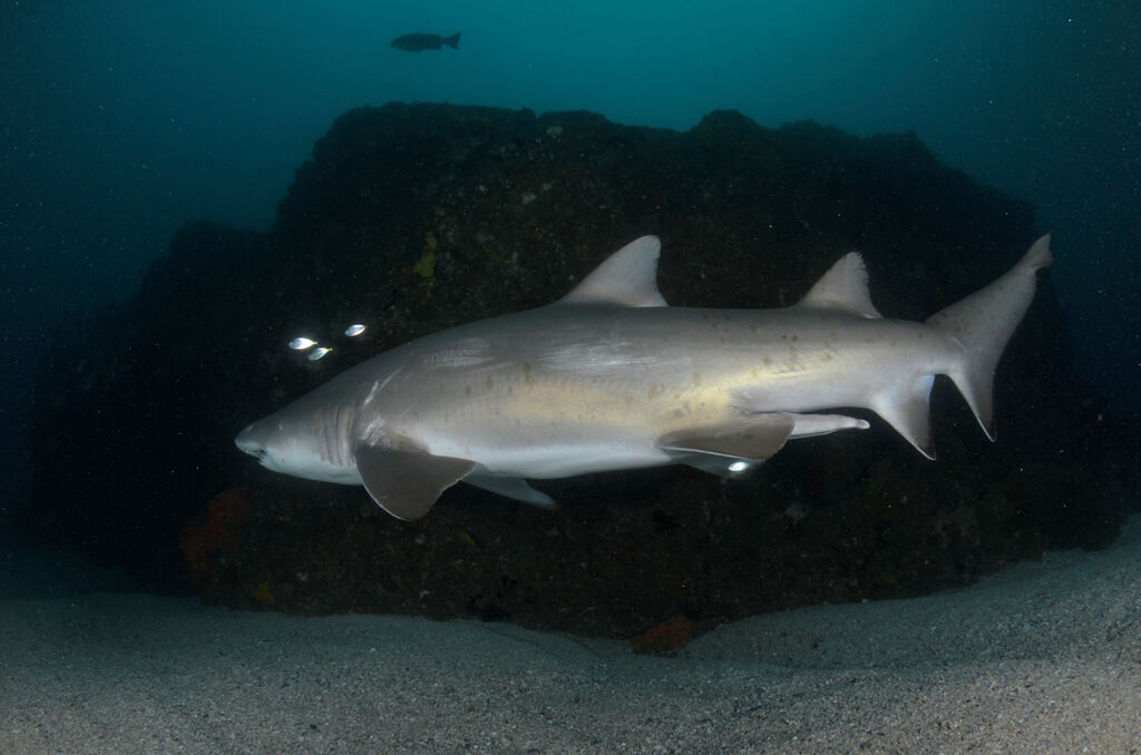 6f48d1c2-5870-4832-a177-a02ae62b2bac