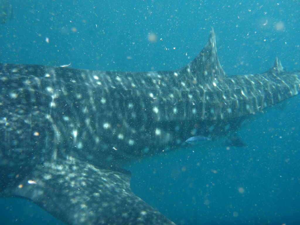 9b7acda4-aa5a-4298-a068-8cff4375bbdd