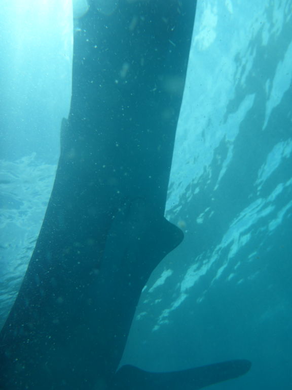 9b7acda4-aa5a-4298-a068-8cff4375bbdd