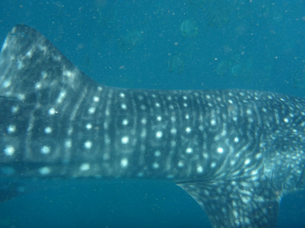 9b7acda4-aa5a-4298-a068-8cff4375bbdd