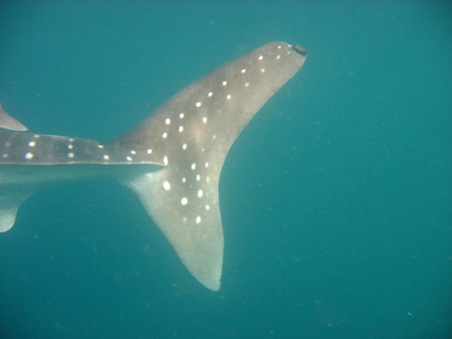 6922a1cb-3196-42cc-bd95-fcdf8b1aa1d2