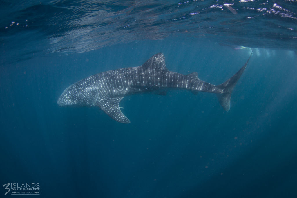 3bdc2afa-4006-49de-b3f7-ed024bdccbc0