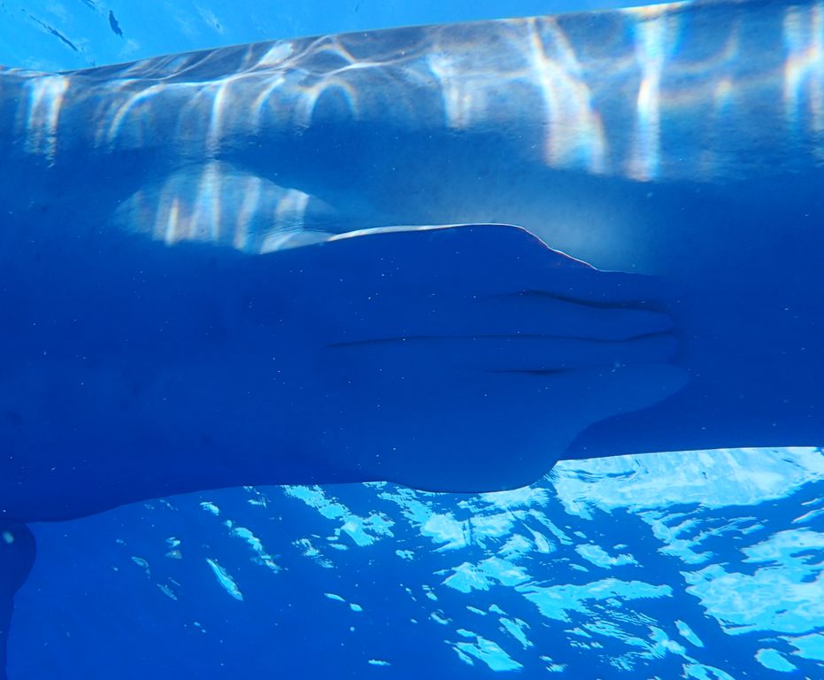 f25db465-b5ce-49b5-8238-36b5c243846b