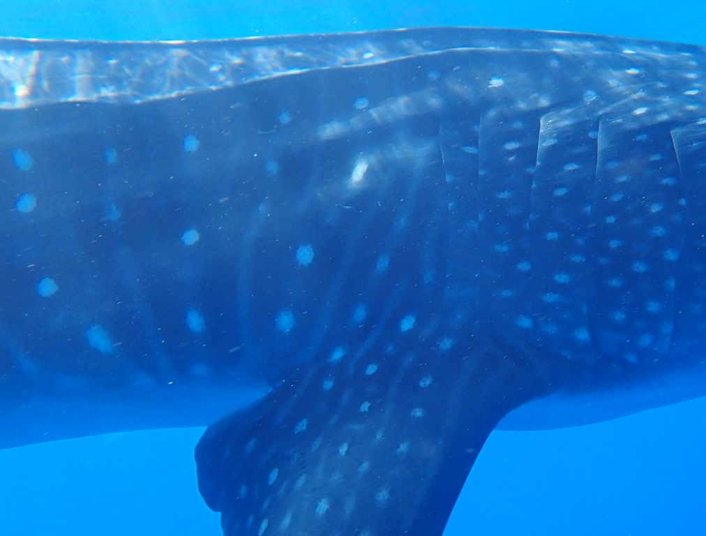 f25db465-b5ce-49b5-8238-36b5c243846b