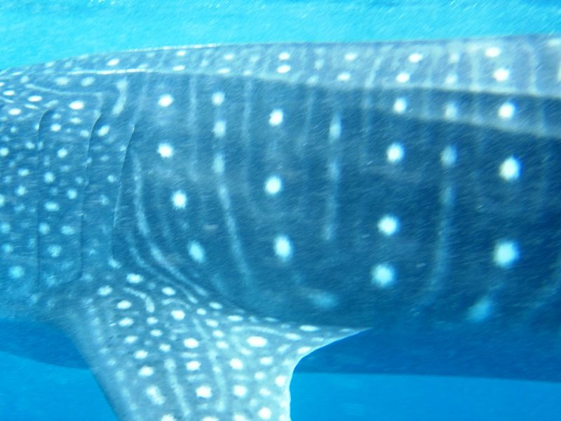 a8836d7b-037f-44dd-b30a-6a87ca04fd49