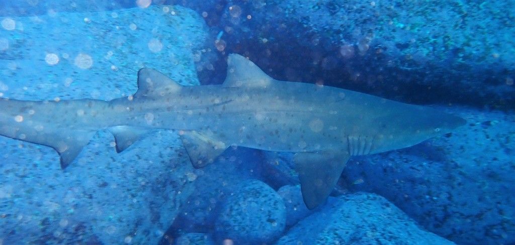 4b80d5c9-8c32-4aae-a0a9-fbc3b292891e