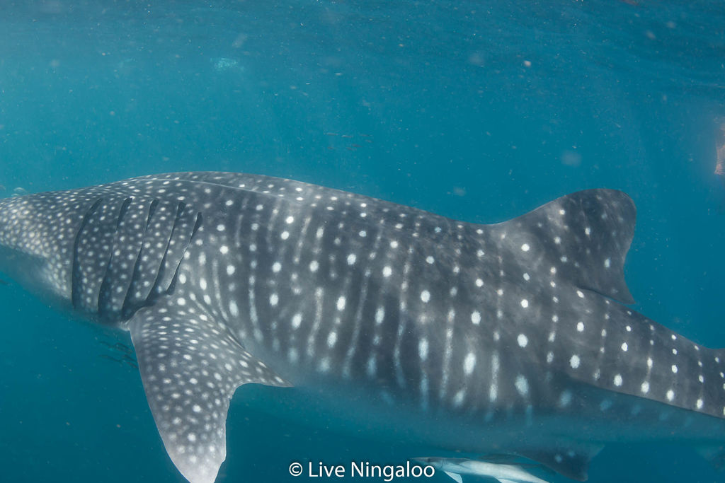 a39191f2-3197-4d78-a82f-eea00979f87f