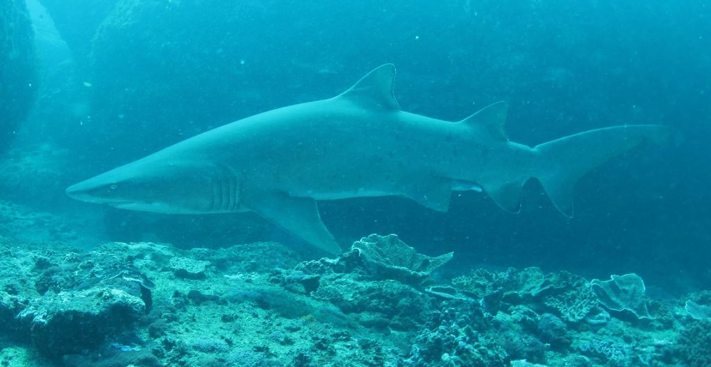 c4ffefaf-4cbb-4d88-9dd4-26b245b21813