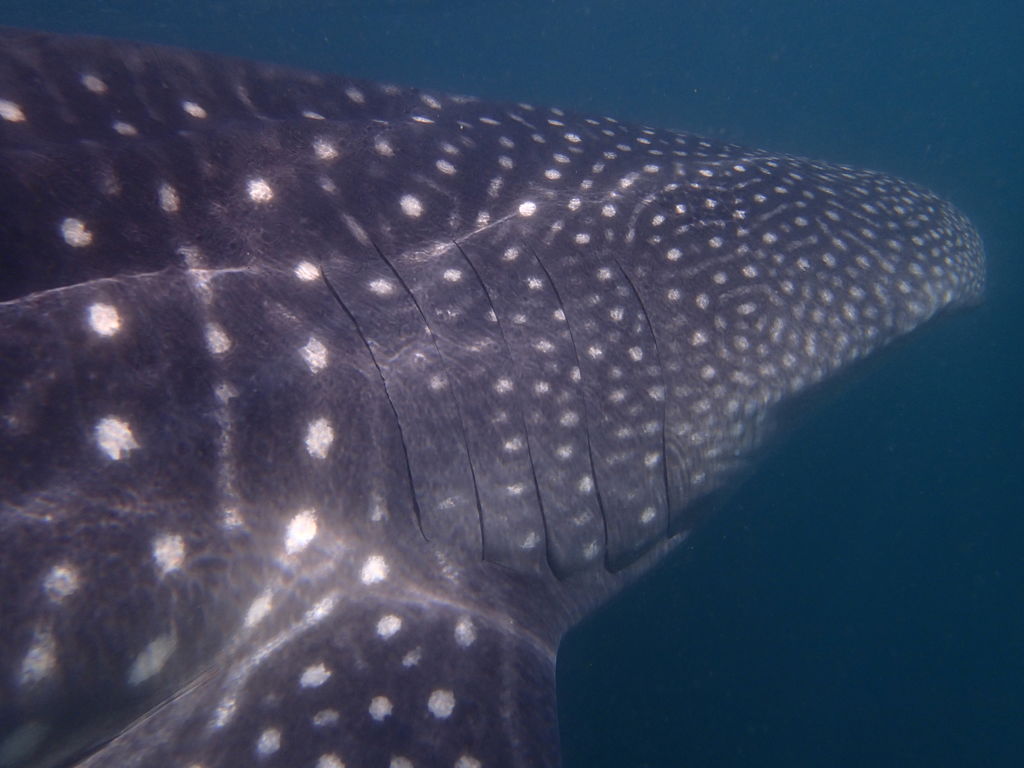 8cc9ea46-4bc5-43b5-8d93-6fa997cb3e63