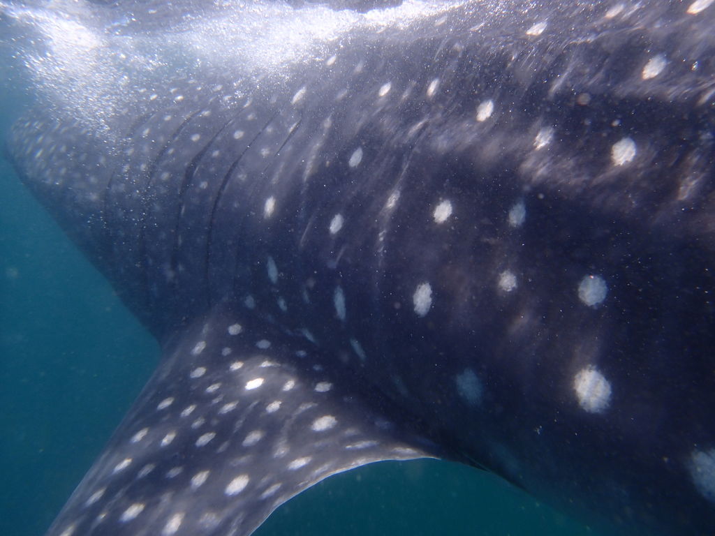 8cc9ea46-4bc5-43b5-8d93-6fa997cb3e63