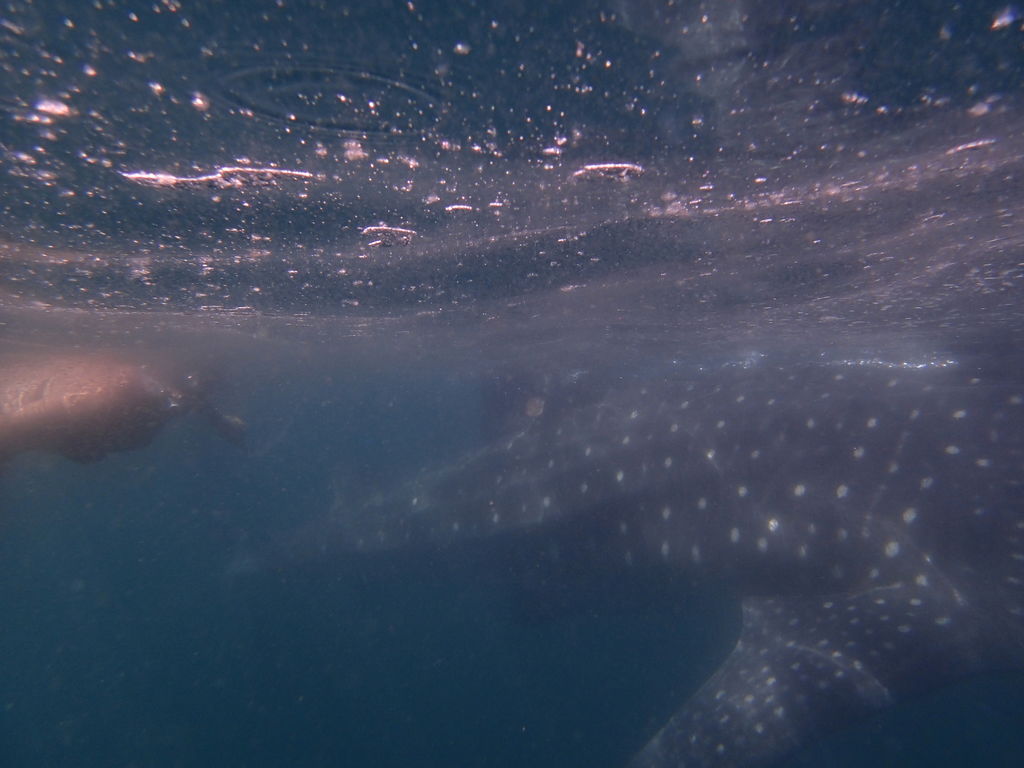 8cc9ea46-4bc5-43b5-8d93-6fa997cb3e63