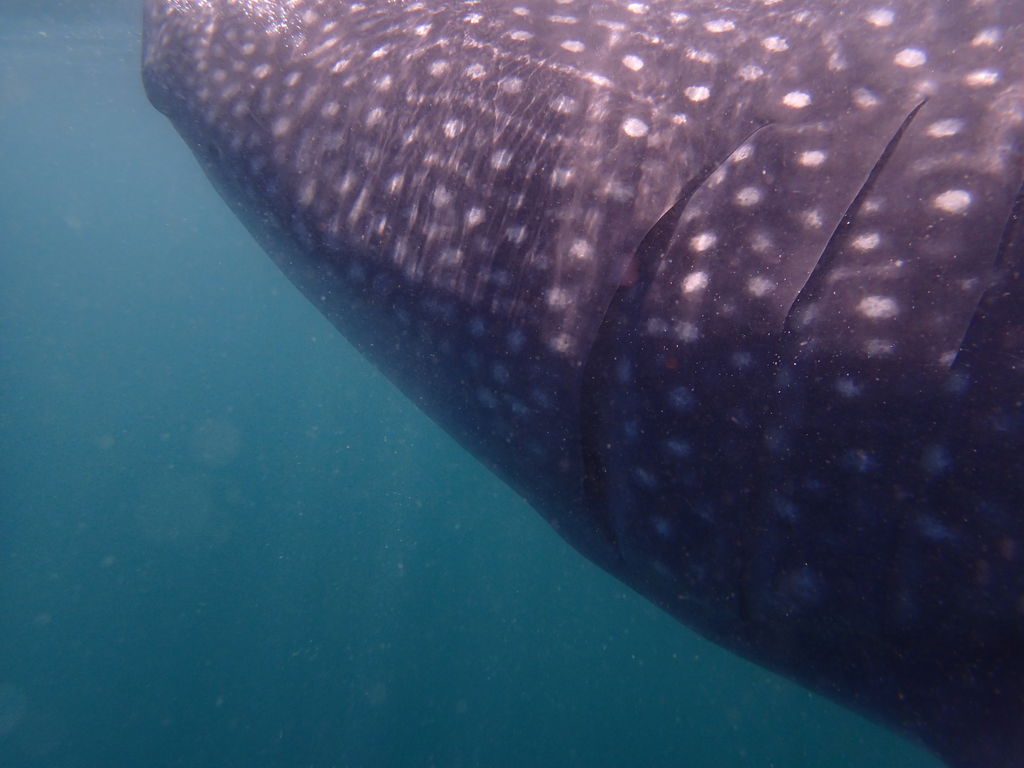 8cc9ea46-4bc5-43b5-8d93-6fa997cb3e63