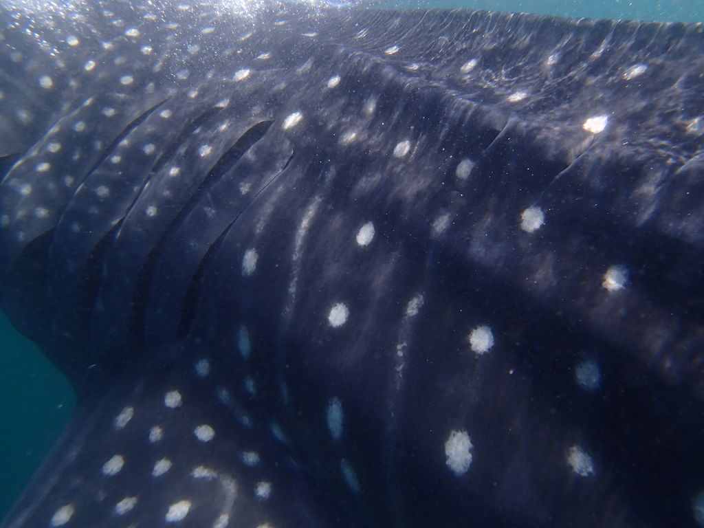 8cc9ea46-4bc5-43b5-8d93-6fa997cb3e63