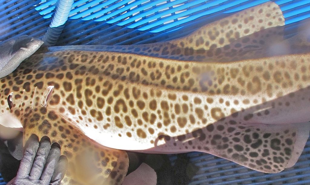 dc9be1e3-3acd-499e-9220-0313359ba2b3