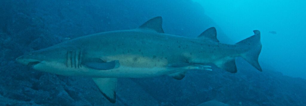 90e81e18-97c9-4f14-a13a-de04bf0592e6