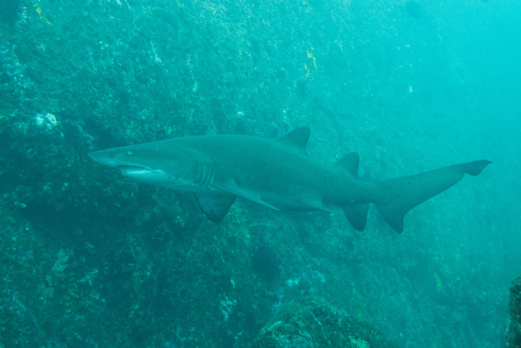 219bc46a-be33-4fc4-8378-c986d3b74fec