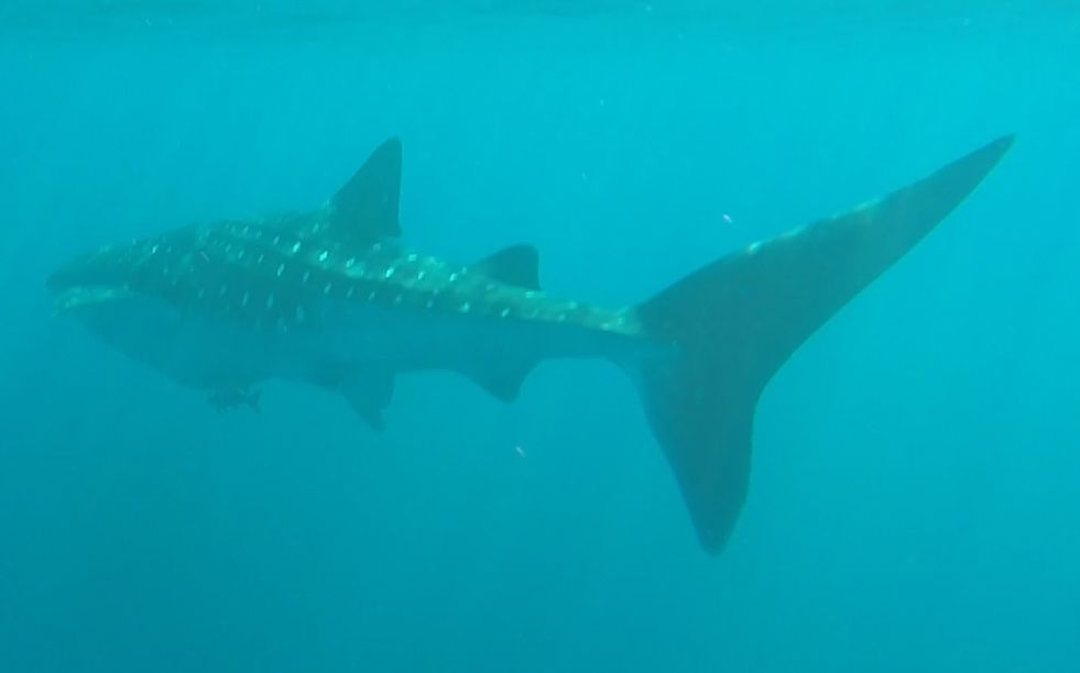 d1e8381f-734b-4a00-a90c-a64a2b6249c8