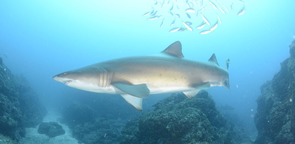 8554b6b8-3bf3-4bef-a698-0e1b1892c898