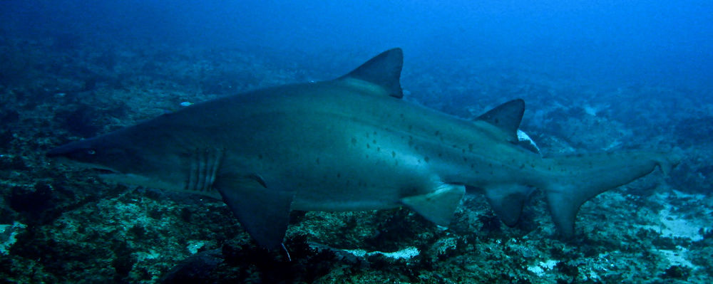 5d12c59a-0b68-4be8-bcec-d22bd13fef08