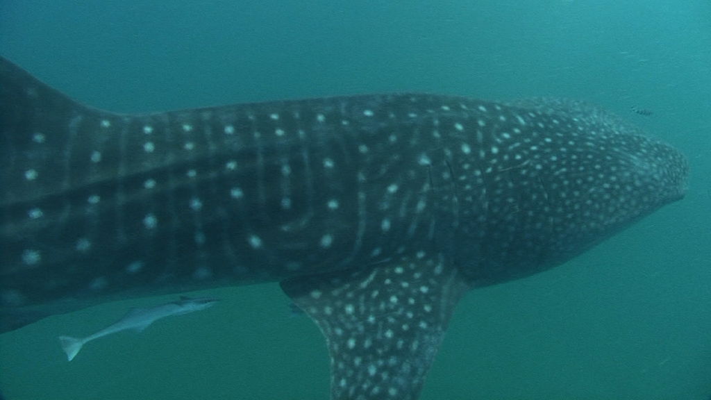 5ced9fd9-0863-4a36-afe8-4e4b4173e6cc