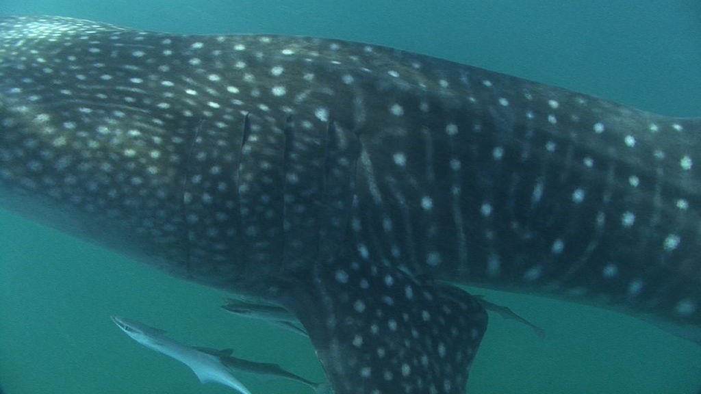 5ced9fd9-0863-4a36-afe8-4e4b4173e6cc