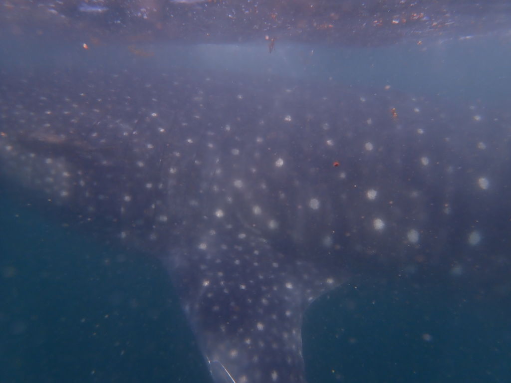 9d4eb171-4b31-47d5-bca2-1f812a5265f5