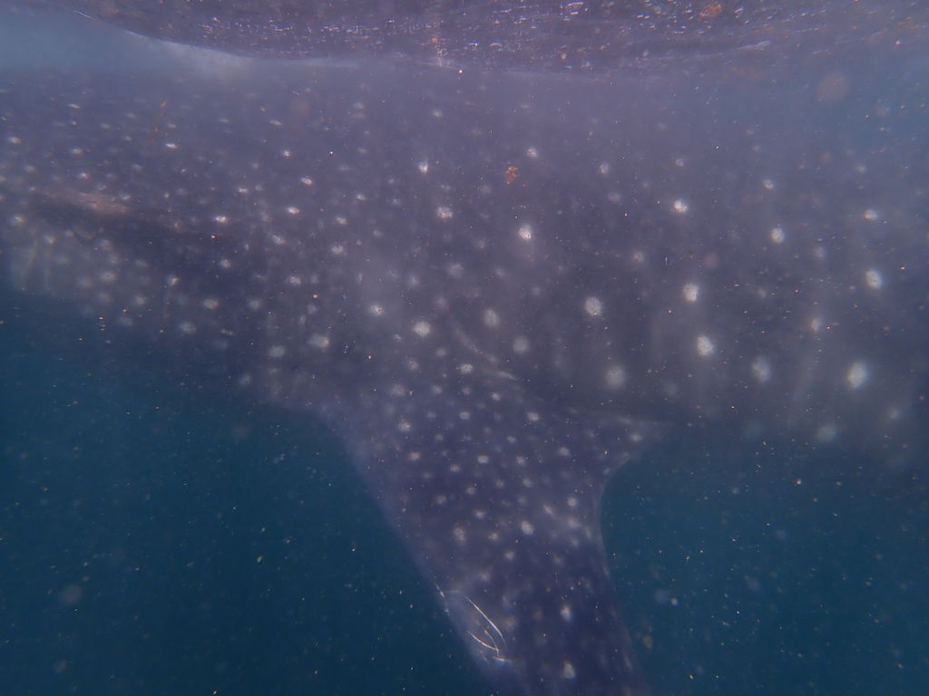 9d4eb171-4b31-47d5-bca2-1f812a5265f5