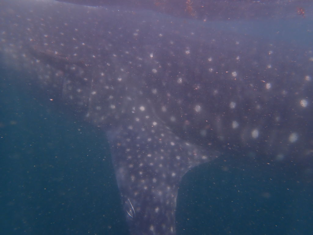 9d4eb171-4b31-47d5-bca2-1f812a5265f5