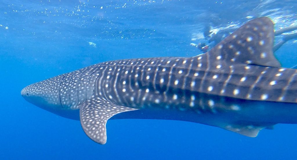 a906791a-e273-43f2-9c48-3379cd9805b2