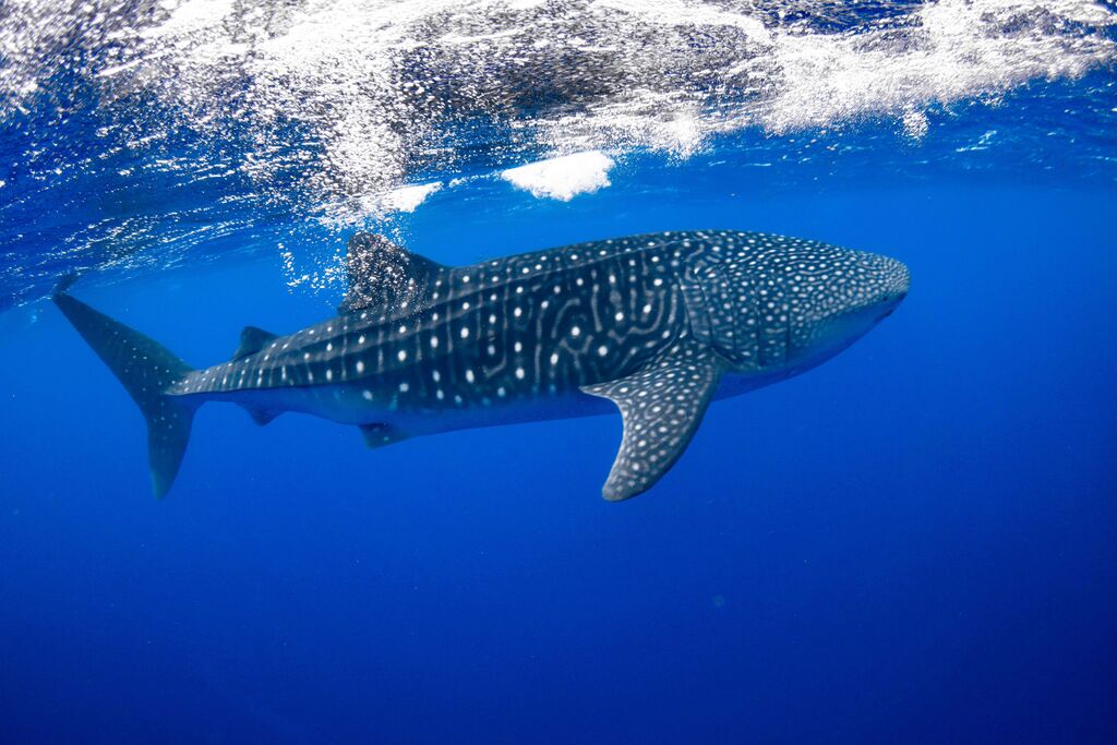 e124b722-8107-4f9a-85f5-c24ac6bcc27c