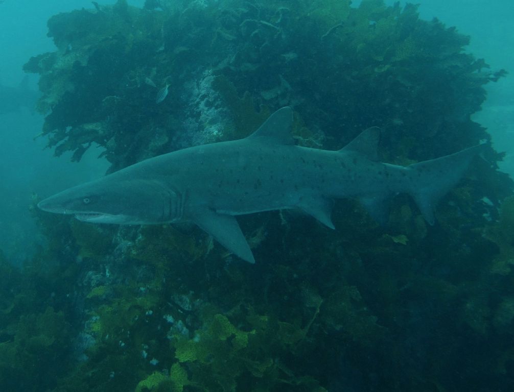 71a15306-36a0-4ac7-af63-293a29b8f450