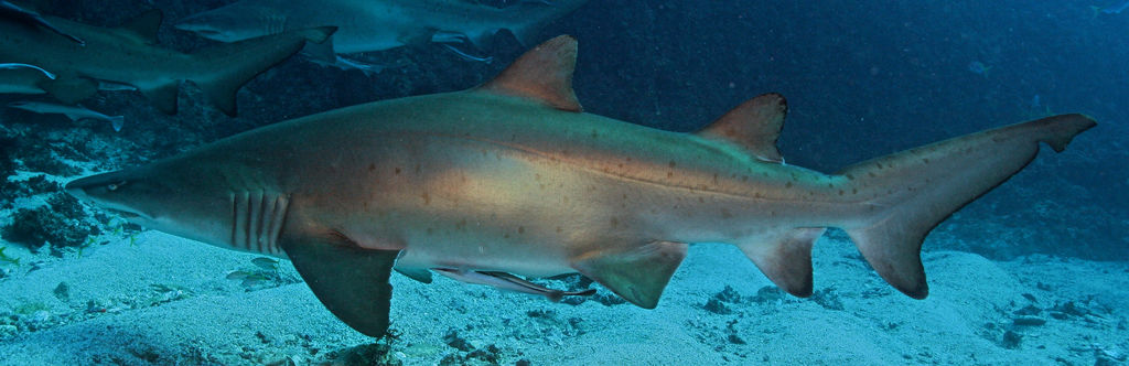 ab1661d2-67a4-417f-a655-e49ea5607da6