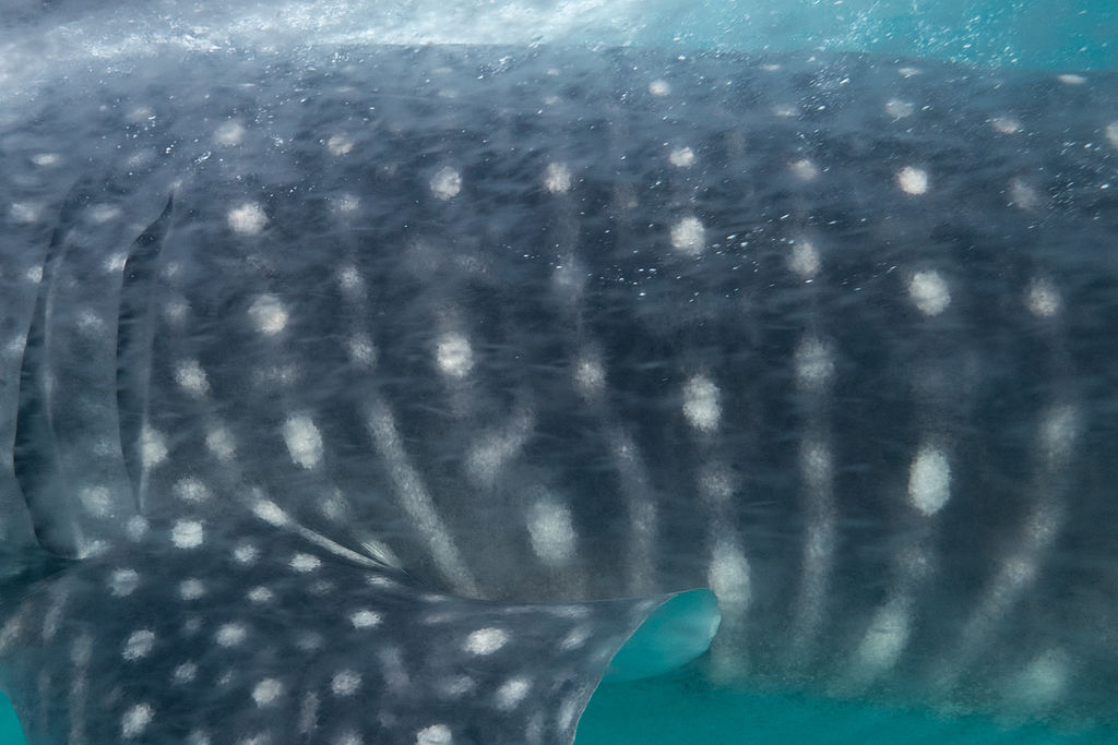 0861b831-648f-4d9e-bc45-015f84a07d95