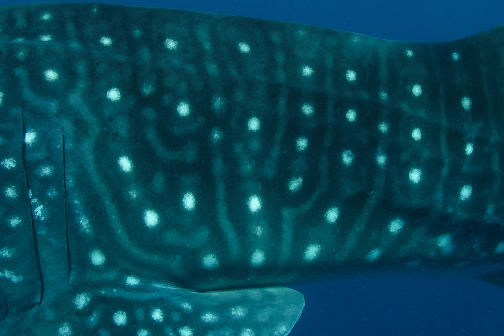 0fc91017-61fb-49aa-900f-1b28c39aa8fb