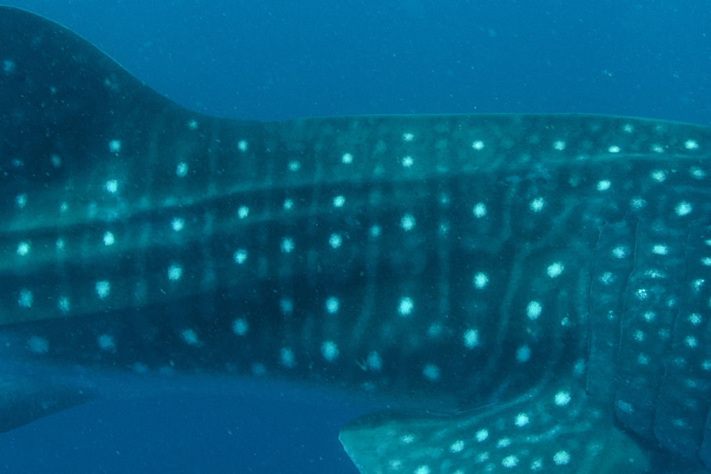 0fc91017-61fb-49aa-900f-1b28c39aa8fb